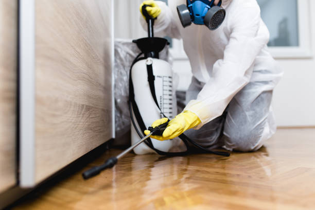 Best Commercial Pest Control Services  in New Orleans, LA