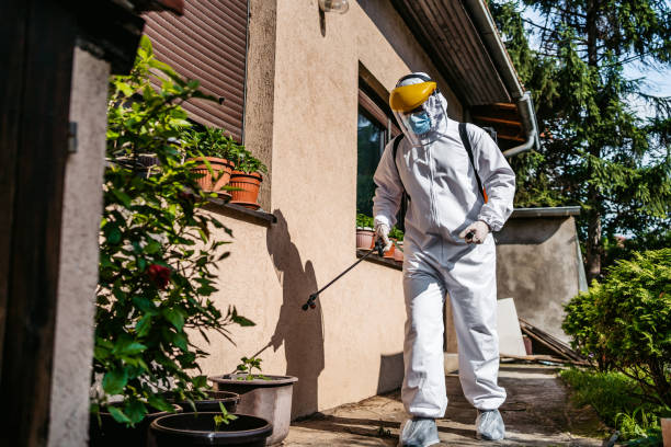 Bird Control in New Orleans, LA