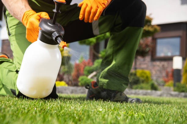 Flea Control Services in New Orleans, LA