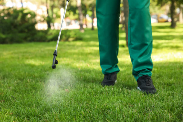 Best Local Pest Control Services  in New Orleans, LA