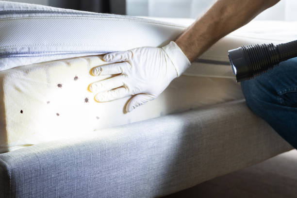 Best Rat Extermination Near Me  in New Orleans, LA