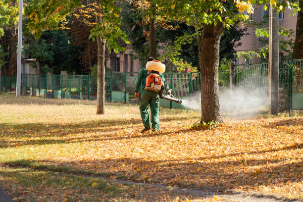 Best Mosquito Control Services  in New Orleans, LA