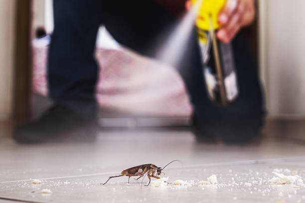 Best Exterminator Services  in New Orleans, LA