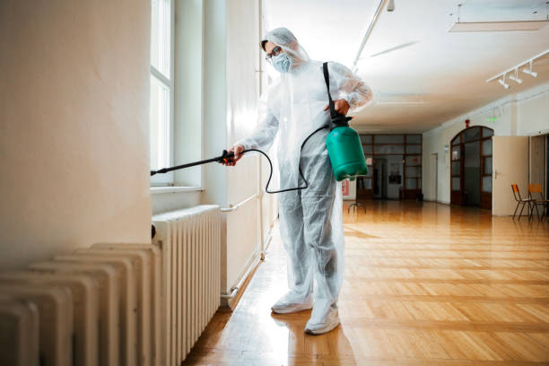Best Local Pest Control Services  in New Orleans, LA