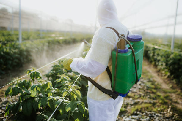  New Orleans, LA Pest Control Pros